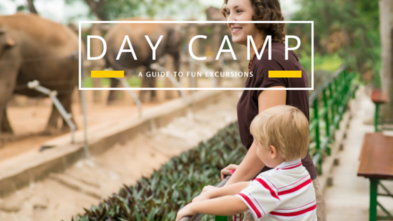 4 Fun Excursions For Day Campers