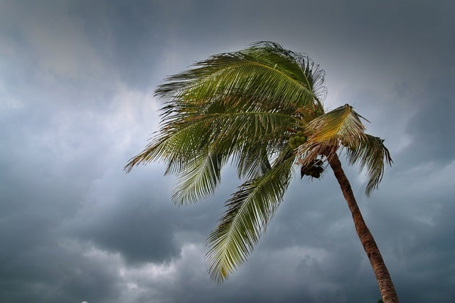 Hurricane Season Tips 2015