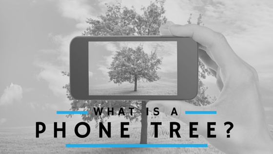 What Is A Phone Tree?